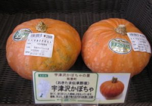 【１０月のピックアップ商品】宇津沢かぼちゃ