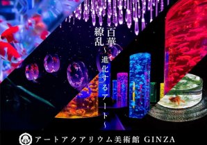 5月3日オープン アートアクアリウム美術館 GINZA展示エリアとコラボレーションの内容を公開