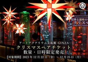 今年のクリスマスは幻想空間で特別な思い出を　アートアクアリウム美術館 GINZA　クリスマスペアチケットを数量限定で販売！