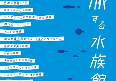 【ロフト】日本全国11の水族館が参加！銀座ロフトの「旅する水族館」開催　各館オリジナルグッズの販売やインスタライブも