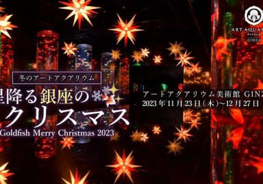 アートアクアリウム美術館 GINZAが1年で最も煌めく特別な1か月　冬のアートアクアリウム「星降る銀座のクリスマス」11月23日(木)～12月27日(水)　開催