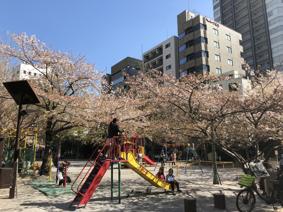 銀座なび・桜スポット・京橋公園